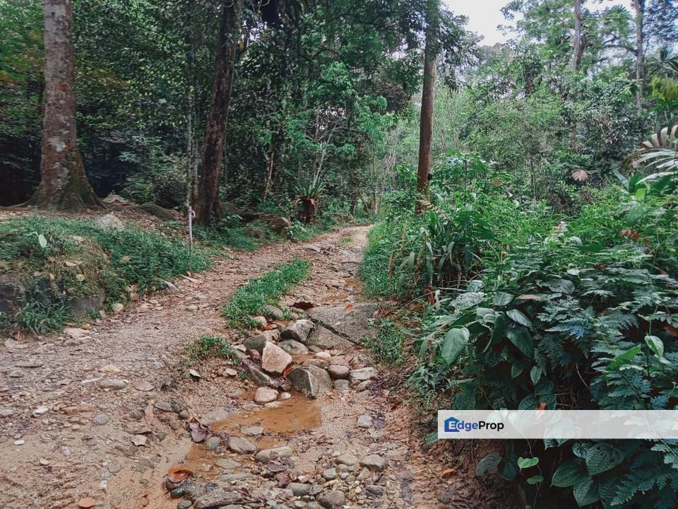 Ulu Yam 3.8 Ekar Tanah Dusun , Selangor, Batang Kali