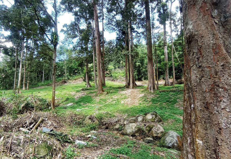 Pekan Ulu Yam (Lama)