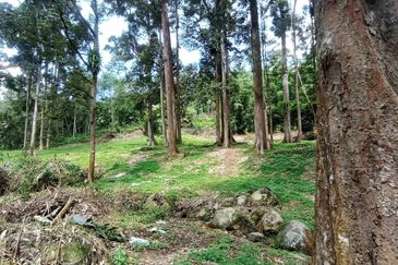 Pekan Ulu Yam (Lama)