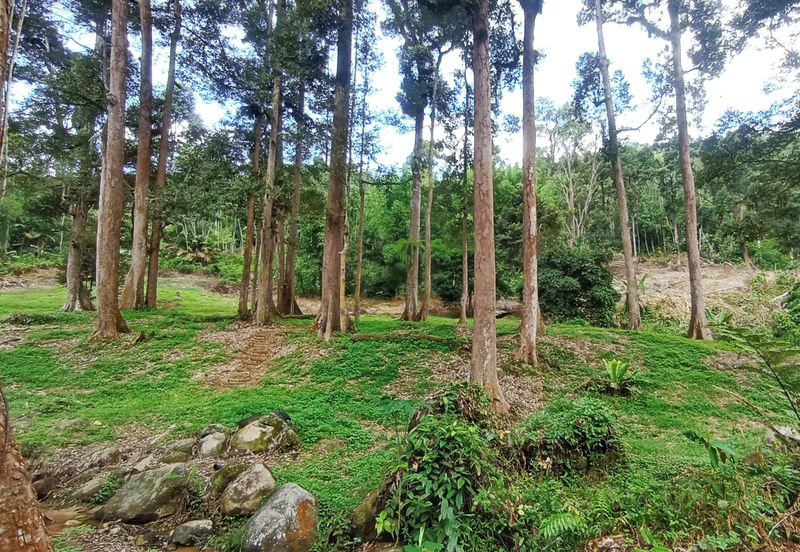 Pekan Ulu Yam (Lama)