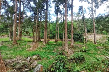 Pekan Ulu Yam (Lama)