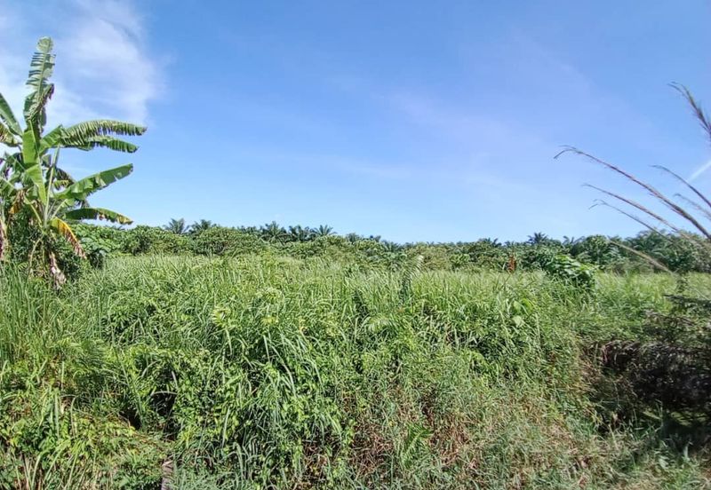 4 Acres Land For Rent 