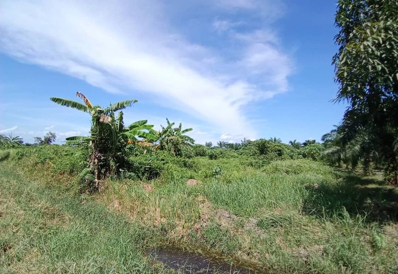 4 Acres Land For Rent 