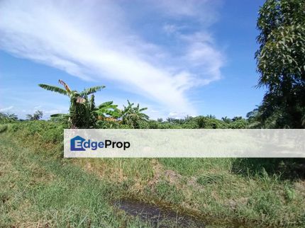 4 Acres Land For Rent , Selangor, Kuala Selangor