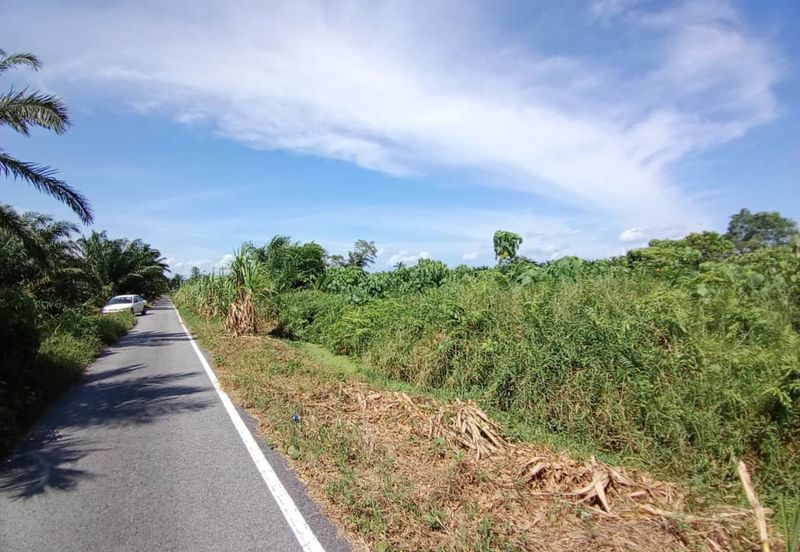 4 Acres Land For Rent 