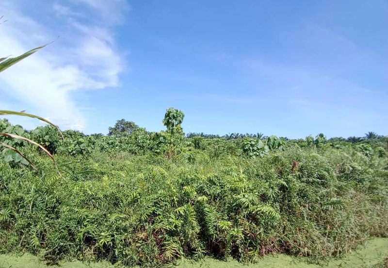 4 Acres Land For Rent 