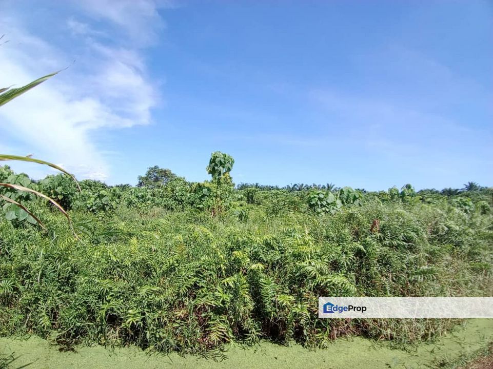 4 Acres Land For Rent , Selangor, Kuala Selangor