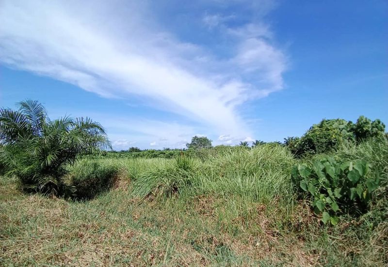 4 Acres Land For Rent 
