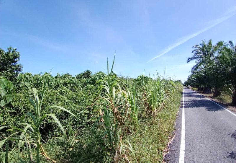 4 Acres Land For Rent 