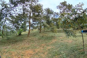 Batang Kali Malay Reservation