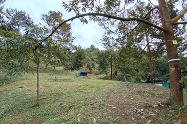 Batang Kali Malay Reservation