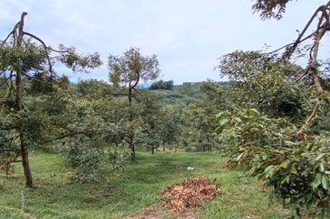 Batang Kali Malay Reservation