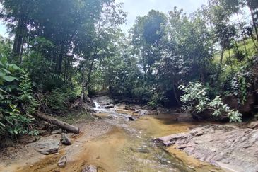 Batang Kali Malay Reservation