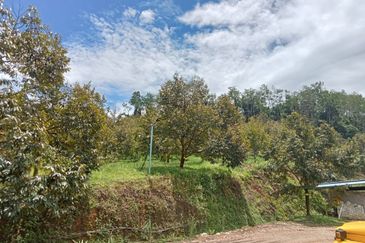 Batang Kali Malay Reservation