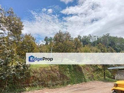 Batang Kali Dusun Durian Premium , Selangor, Hulu Selangor