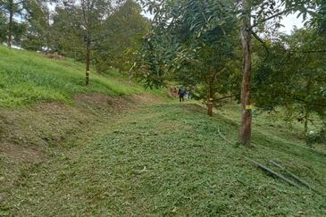 Batang Kali Malay Reservation