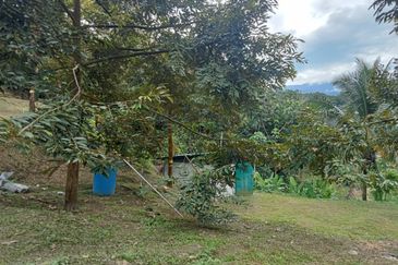 Batang Kali Malay Reservation