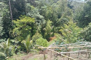 Batang Kali Malay Reservation