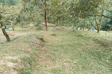 Batang Kali Malay Reservation