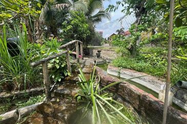 Seksyen 6, Kota Damansara