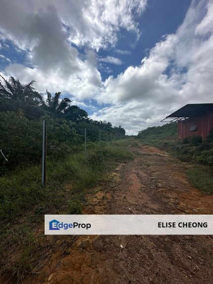 Land For Sale Seelong @ Kulai
Agriculture Land (Agarwood Trees | 沉香树), Johor, Senai