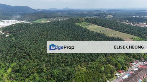 Kulai Taman Sri Putri
20 acres 
Non Bumi 
Freehold
Converted Medium Industry Land
( yet to pay premium, owner will pay)
, Johor, Kulai