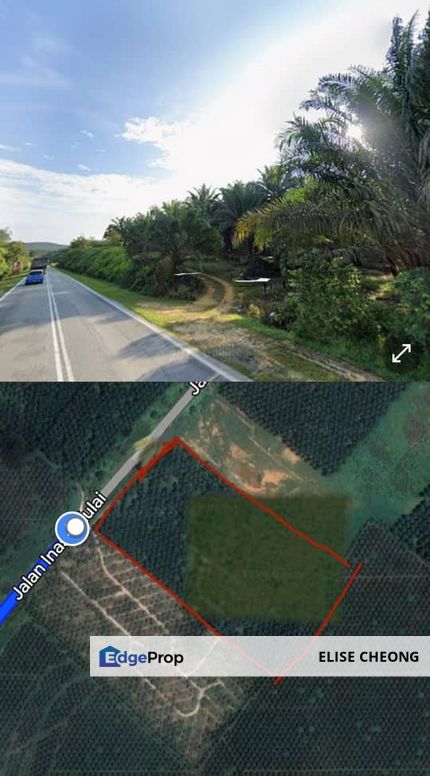 新港 地皮出售
马路旁地皮出售 油棕地有收成
Sengkang
Land size: 8.5 Ekar
Agriculture Land (kelapa sawit)
Freehold , Johor, Kulai