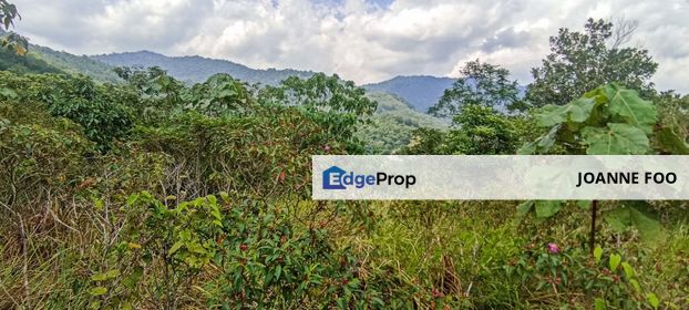 Broga Agriculture Land For Sale, Selangor, Semenyih