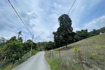 ADA AKSES JALAN Tanah  LADANG GETAH 10 Ekar Jelebu Negeri Sembilan FOR SALE 