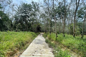 ADA AKSES JALAN Tanah  LADANG GETAH 10 Ekar Jelebu Negeri Sembilan FOR SALE 