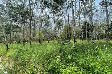 ADA AKSES JALAN Tanah  LADANG GETAH 10 Ekar Jelebu Negeri Sembilan FOR SALE 