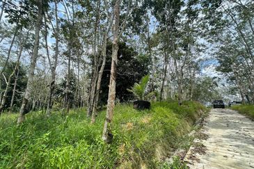 ADA AKSES JALAN Tanah  LADANG GETAH 10 Ekar Jelebu Negeri Sembilan FOR SALE 