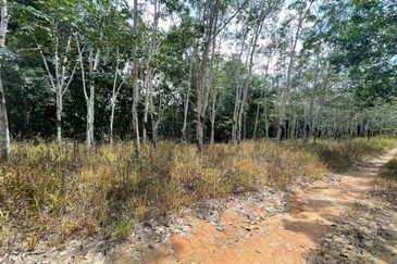 ADA AKSES JALAN Tanah  LADANG GETAH 10 Ekar Jelebu Negeri Sembilan FOR SALE 