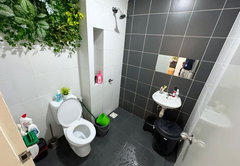 Avenham Garden @ Eco Grandeur