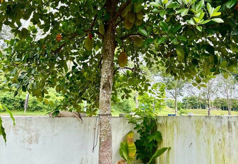 SU1 @ Bandar Saujana Utama