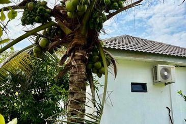 SU1 @ Bandar Saujana Utama