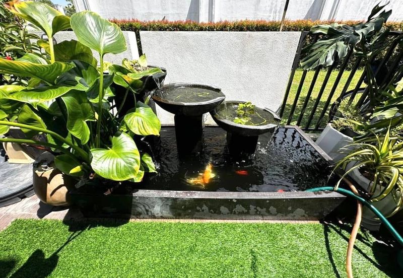 Avenham Garden @ Eco Grandeur