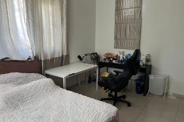 Stulang Laut / Darat