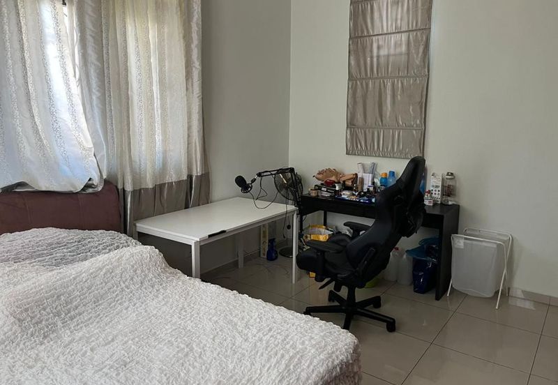 Stulang Laut / Darat