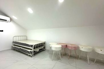 Stulang Laut / Darat