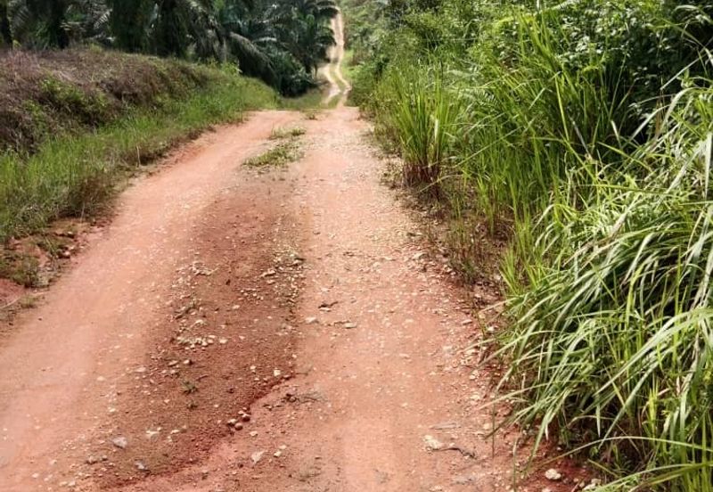 Huge Agriculture Land with Good Location Near Main Road Future Development