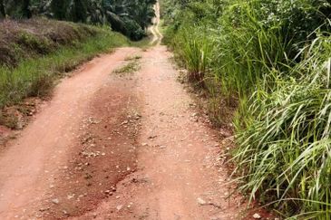 Huge Agriculture Land with Good Location Near Main Road Future Development