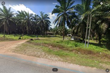 Huge Agriculture Land with Good Location Near Main Road Future Development