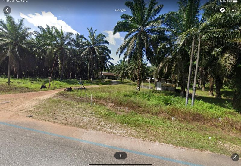 Huge Agriculture Land with Good Location Near Main Road Future Development