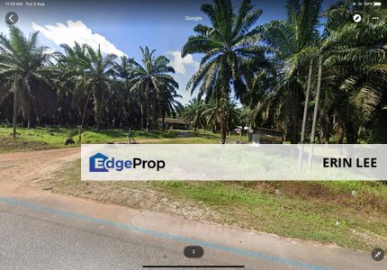 Huge Agriculture Land with Good Location Near Main Road Future Development, Johor, Kota Tinggi