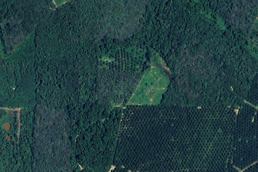 Tanah Pertanian Mukim Lebak, Temerloh