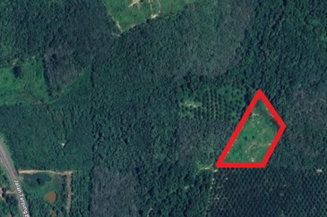 Tanah Pertanian Mukim Lebak, Temerloh