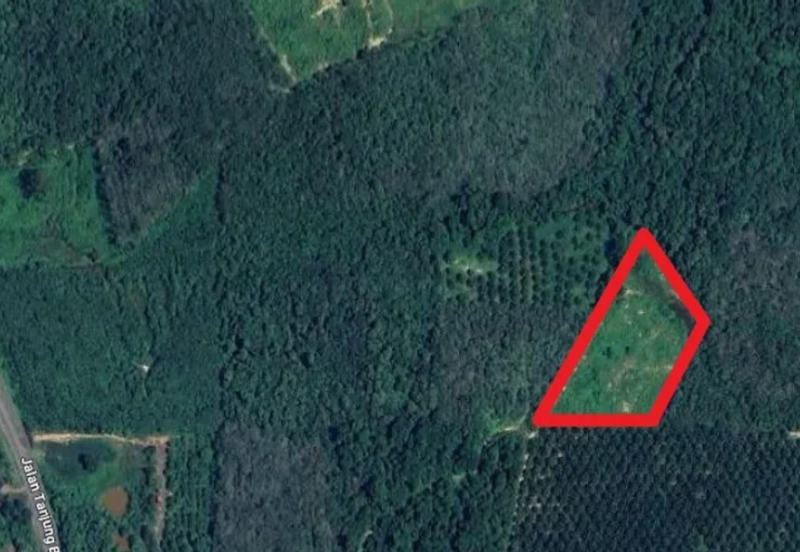 Tanah Pertanian Mukim Lebak, Temerloh