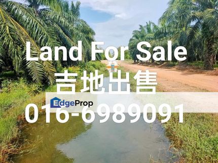 Pulau Carey,Agriculture Land, industrial land, Jenjarom, Klang, for sale, Selangor, Jenjarom