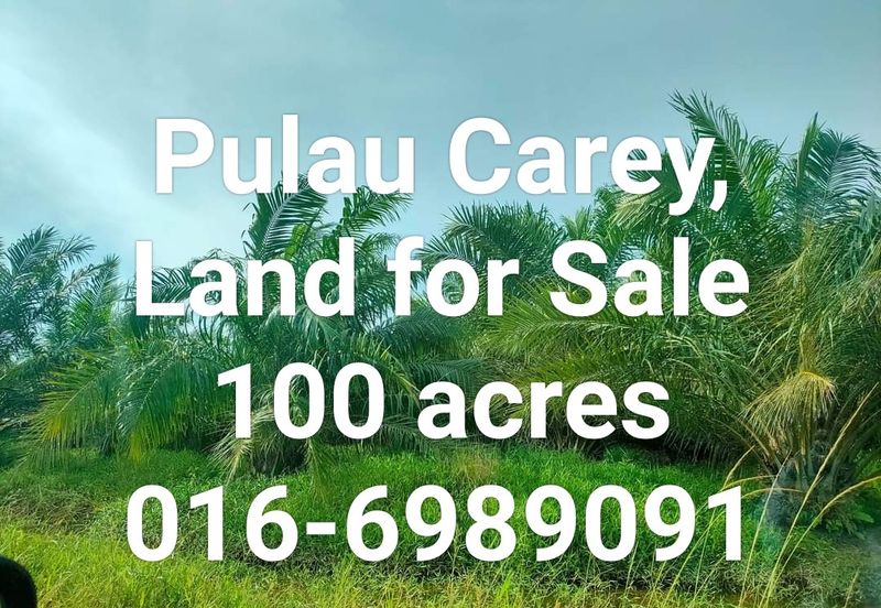 Pulau Carey